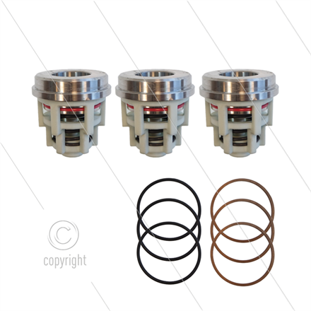 Kit 2012 - Satz Saugventile (3x) - Serie 71 + 71(V)HT + Pratissoli KF40