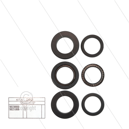 Kit 202 - Manschettensatz Ø22mm für 3 Plunger - Serie 47 HT + 47 SS