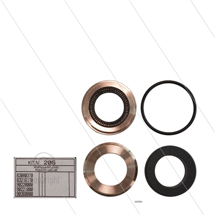 Kit 205 - kompletter Dichtsatz Ø18mm für 1 Plunger - Serie 63(V)HT