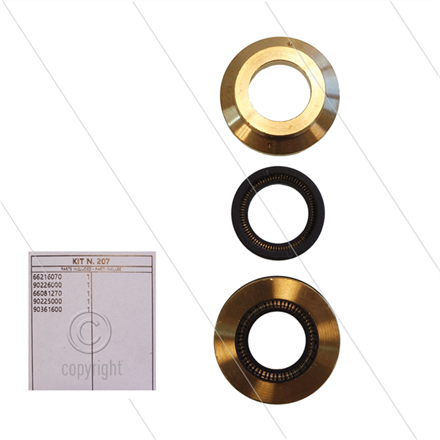 Kit 207 - kompletter Dichtsatz Ø20mm für 1 Plunger - Serie 66(V)HT