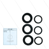 Kit 208 - Manschettensatz Ø22mm für 3 Plunger - Serie 66 (V)HT
