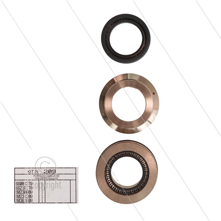 Kit 209 - kompletter Dichtsatz Ø22mm für 1 Plunger - Serie 66(V)HT