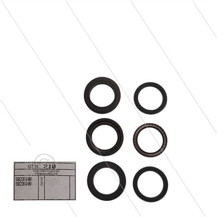 Kit 210 - Manschettensatz Ø24mm für 3 Plunger - Serie 66(V)HT + SS