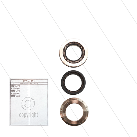 Kit 211 - kompletter Dichtsatz Ø24mm für 1 Plunger - Serie 66 (V)HT