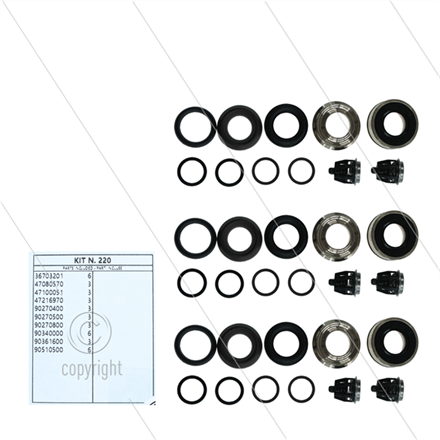 Kit 220 - kompletter Dichtsatz Ø20mm für 3 Plunger inkl. Ven