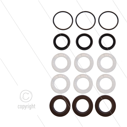 Kit 273 - Manschettensatz Ø15mm für 3 Plungers - Serie 58