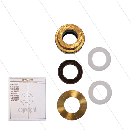 Kit 289 - kompletter Dichtsatz Ø18mm für 1 Plunger - Serie 5