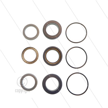 Kit 350 - Manschettensatz Ø20mm für 3 Plunger - Serie C3W HT - Serie 59