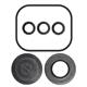 KIT 43895 Öldichtungssatz D:14