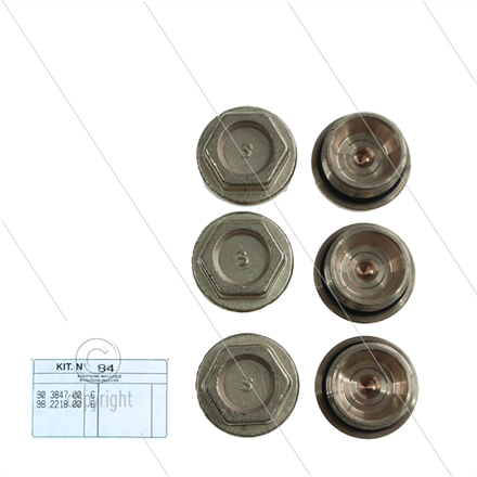 Kit 84 - Satz Ventilstopfen + O-Ringe (6x) - M24x1.5 - Serie 51
