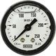Manometer 40 mm 0-250 bar 1/8"AG Kunststoff Anschluß hinten
