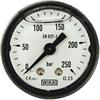 Manometer 40 mm 0-250 bar 1/8"AG Kunststoff Anschluß hinten