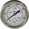 Manometer 50 mm 0-250 bar 1/4"AG Edelstahl Anschluß hinten