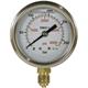 Manometer 50 mm 0-250 bar 1/4"AG Edelstahl Anschluß unten
