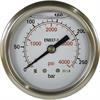 Manometer 63 mm 0-100 bar 1/4"AG Edelstahl Anschluß hinten