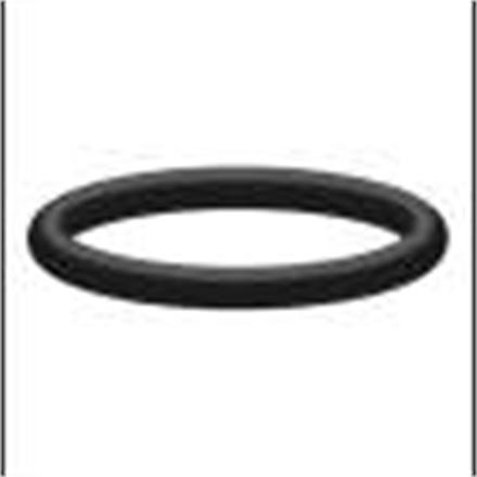 O-Ring 20,24x2,62 NBR (Perbunan) (1 Stück)