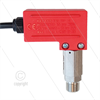 PR1 - Druckschalter - Edelstahl 3/8" AG - Einschaltdruck 45 Bar - max 600 Bar - (schwarze