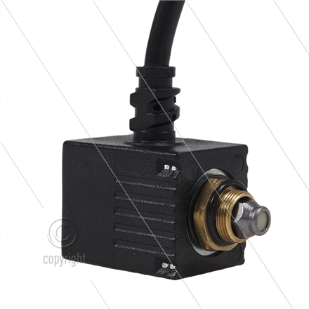 Spule für SP-Ölpumpe - 230V