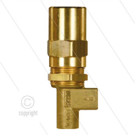 ST230 Sicherheitsventil - 80 bis 250 Bar - 30 l/min - max 95°C - Eingang 1/4" IG