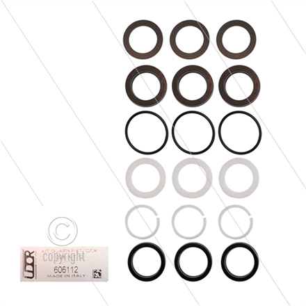 Udor Kit 12 - Manchettensatz für 3 Plunger Ø28mm - Serie C +