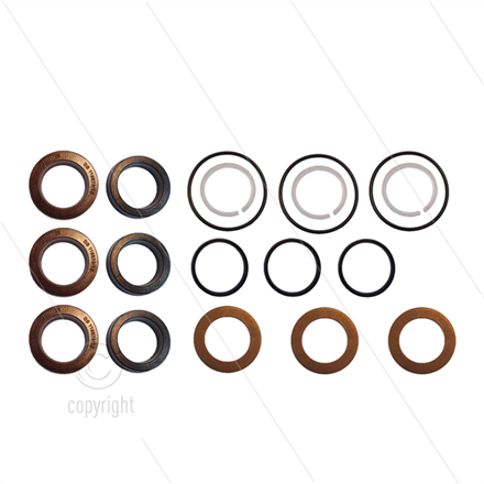 Udor Kit 129 - Manschettensatz für 3 Plunger Ø20mm - Serie CK