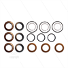 Udor Kit 129 - Manschettensatz für 3 Plunger Ø20mm - Serie CK