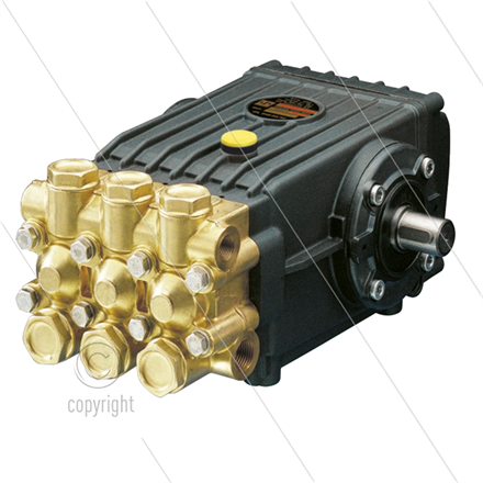 W151 Hochdruckpumpe - doppelte ausgehende Welle -15 l/min - 150 Bar - 1000 U/min - 4,04 kW