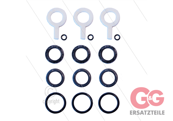 Cat 310/340/350 - Dichtungssatz (3 Kolben)