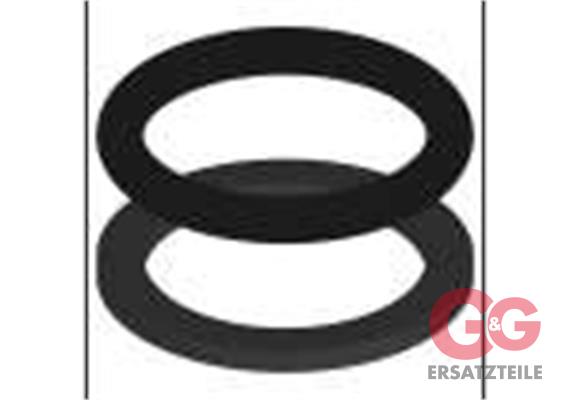 Dichtsatz Stecknippel 10 mm 2tlg.  O-Ring + Stützring
