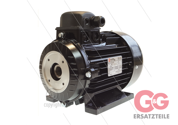 E-Motor 3.0 kW - 230/400V - Ø24mm Hohlwelle - IEC 100 - Seri