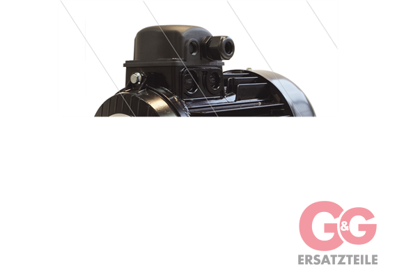 E-Motor 3.0 kW - 230/400V - Ø24mm Hohlwelle - IEC 100 - Seri