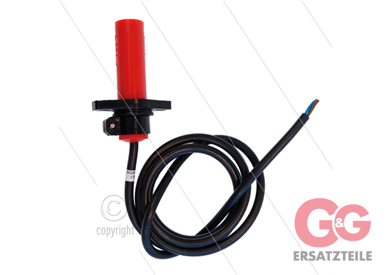 Fotozell für Flammüberwachung