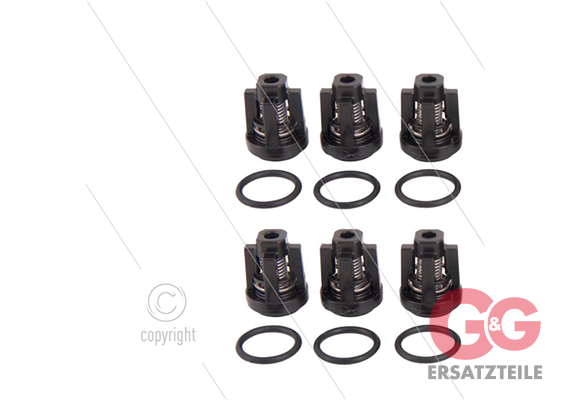 Kit 134 - Ventil und O-Ring (6x) - Serie Greenjet + Cleanmat