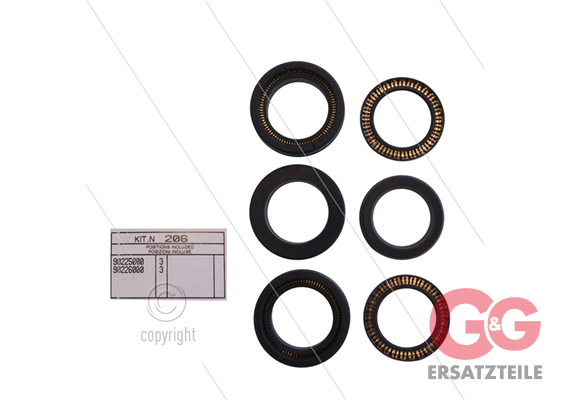 Kit 206 - Manschettensatz Ø20mm für 3 Plunger - Serie 66(V)H