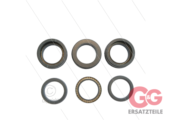 Kit 2170 - Manschettensatz Ø24mm für 3 Plungers - Serie 70SS