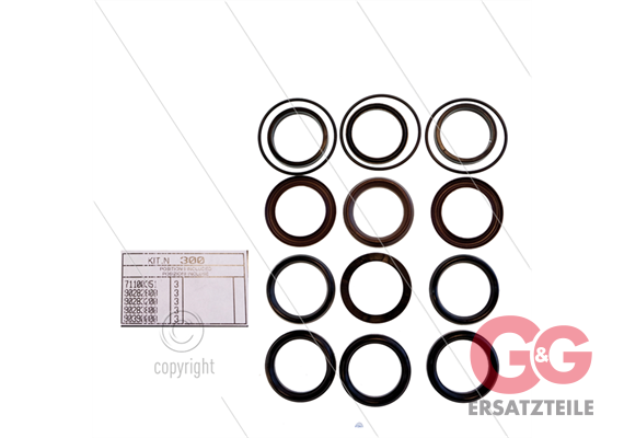 Kit 300 - Manschettensatz Ø40mm für 3 Plunger - Serie AB