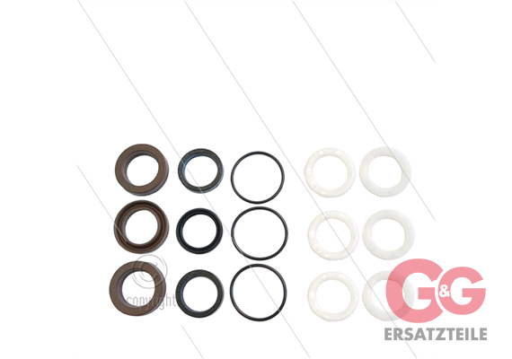 Kit 329 - Manschettensatz Ø20mm für 3 Plungers - Serie 58
