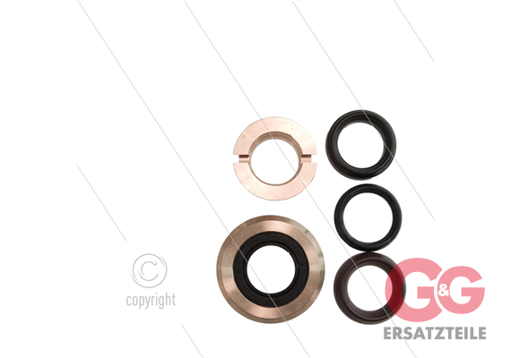 Kit 67 - kompletter Dichtsatz Ø30mm für 1 Plunger - Serie 69