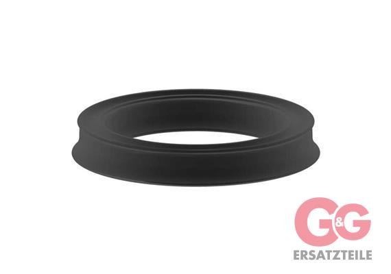 LIP SEAL 1V1 12X16,5X3,6