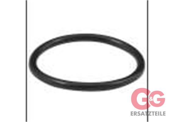O-RING 31,42x2,62