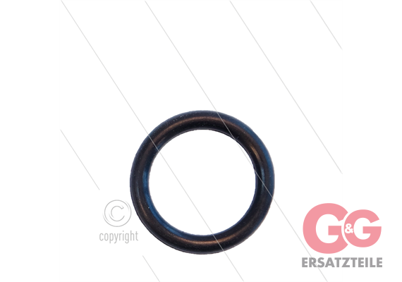 O-Ring RP3100 klein