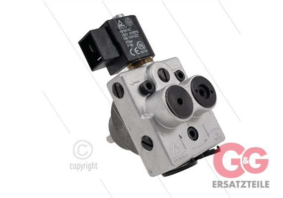 Ölpumpe - Delta - A1R2 - 230V - Rechtslauf