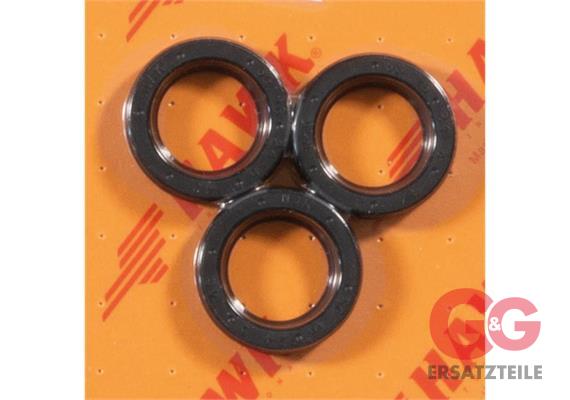 OIL SEAL KIT HAWK