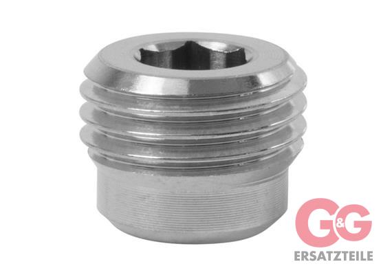 PLUG 1/4" WITHOUT RIM SS