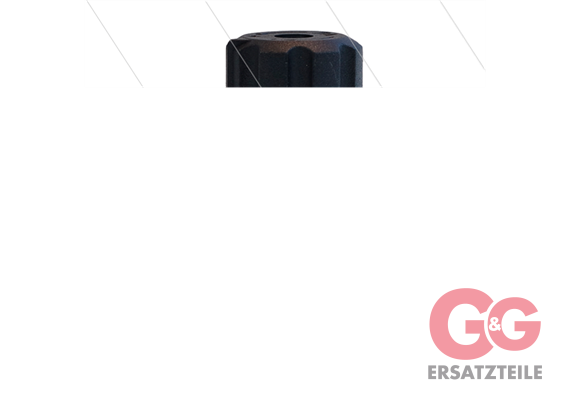 RV1 Dampfhahn 2x1/4"AG 90Gr. - 20L/m - D=2,0mm