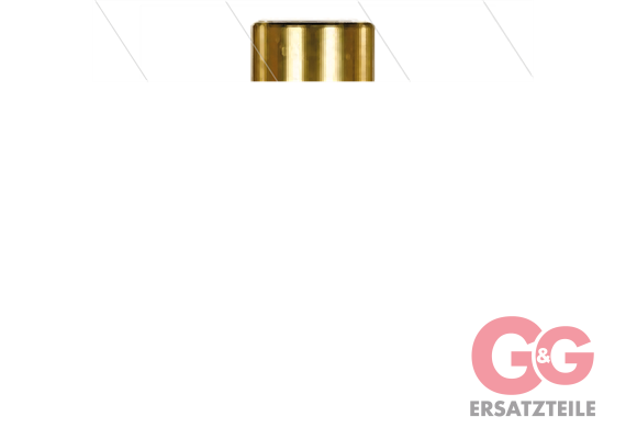 ST230 Sicherheitsventil - 80 bis 250 Bar - 30 l/min - Eingan