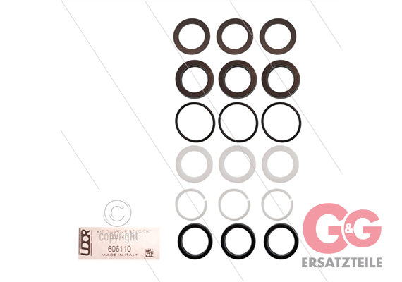 Udor Kit 10 - Manchettensatz für 3 Plunger Ø22mm - Serie C +