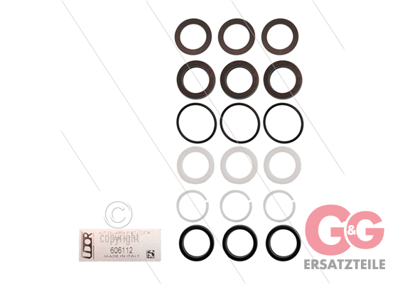 Udor Kit 12 - Manchettensatz für 3 Plunger Ø28mm - Serie C +