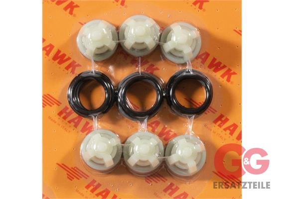 VALVE COMPLETE 6 pieces