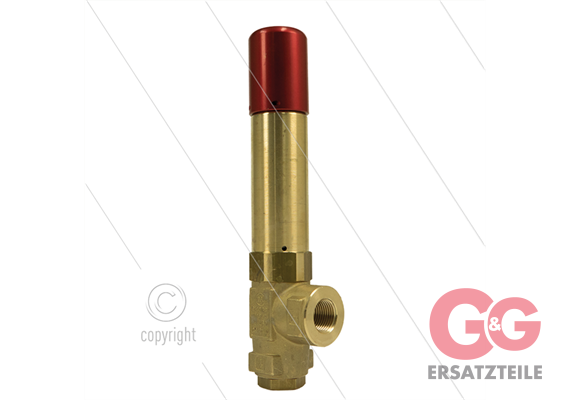 VS500 Sicherheitsventil mit Versiegelung - 500 Bar - 80 l/min - 60°C - Ein: 1/2" IG
